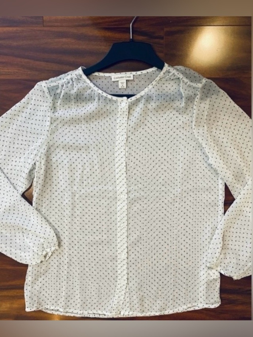 Professional Business Casual Polka Dot Sheer white Puffy long Sleeves blouse